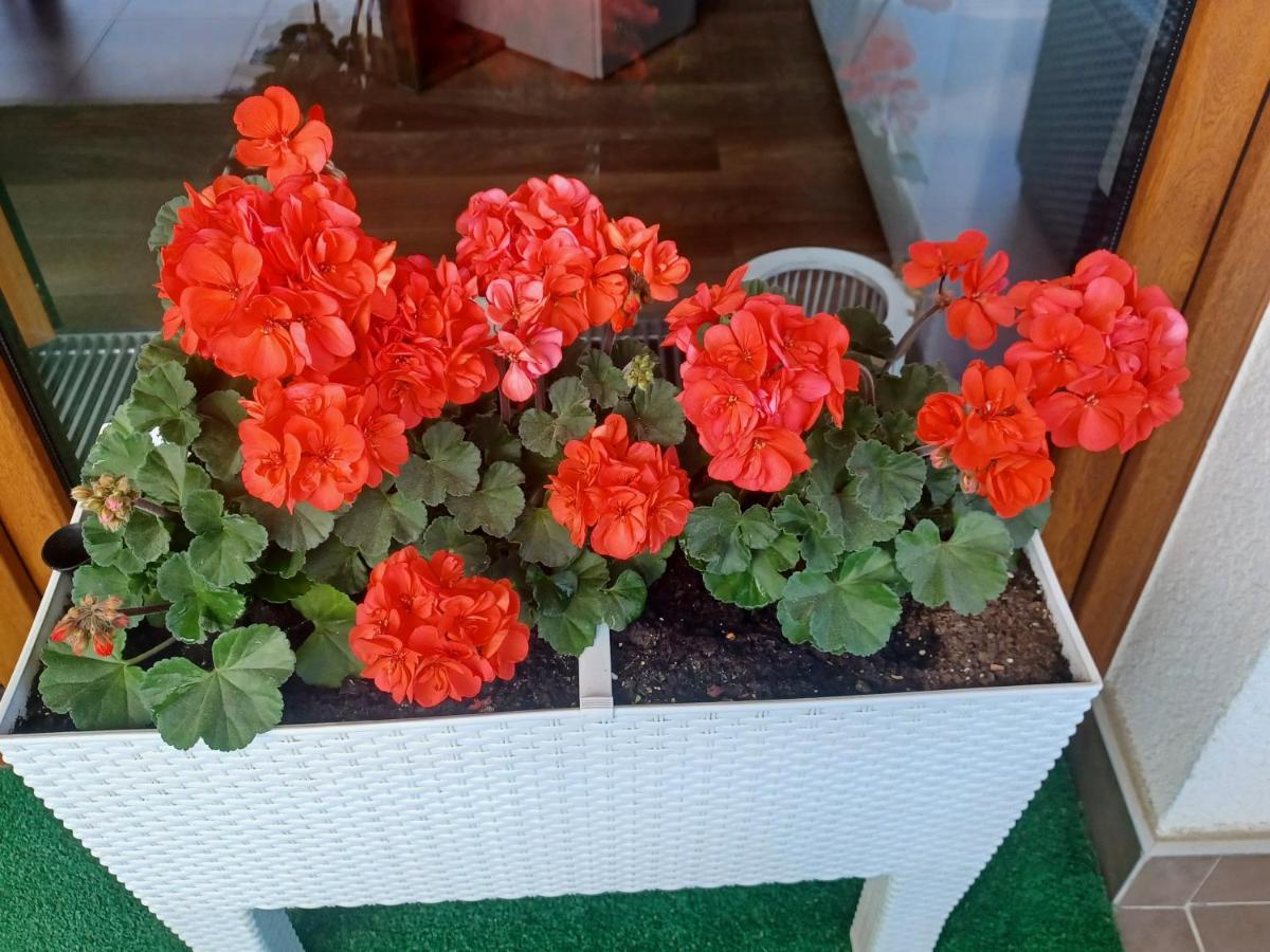 Apartament Z Widokiem Na Morze Dziwnówek Dış mekan fotoğraf
