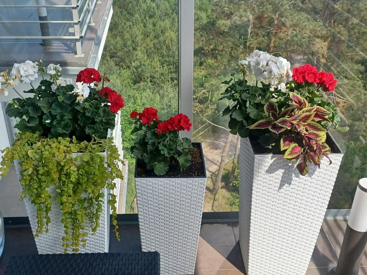 Apartament Z Widokiem Na Morze Dziwnówek Dış mekan fotoğraf