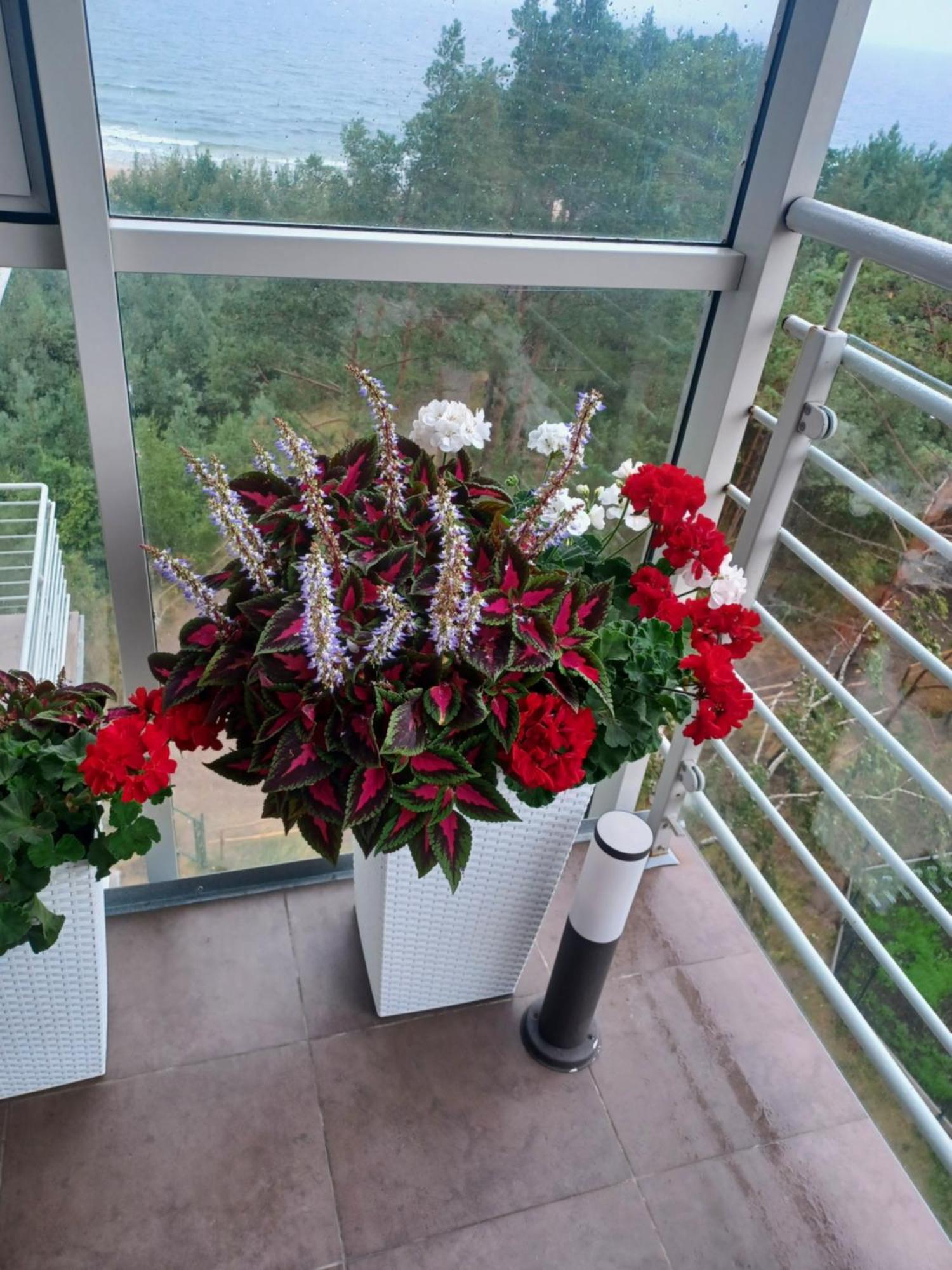Apartament Z Widokiem Na Morze Dziwnówek Oda fotoğraf