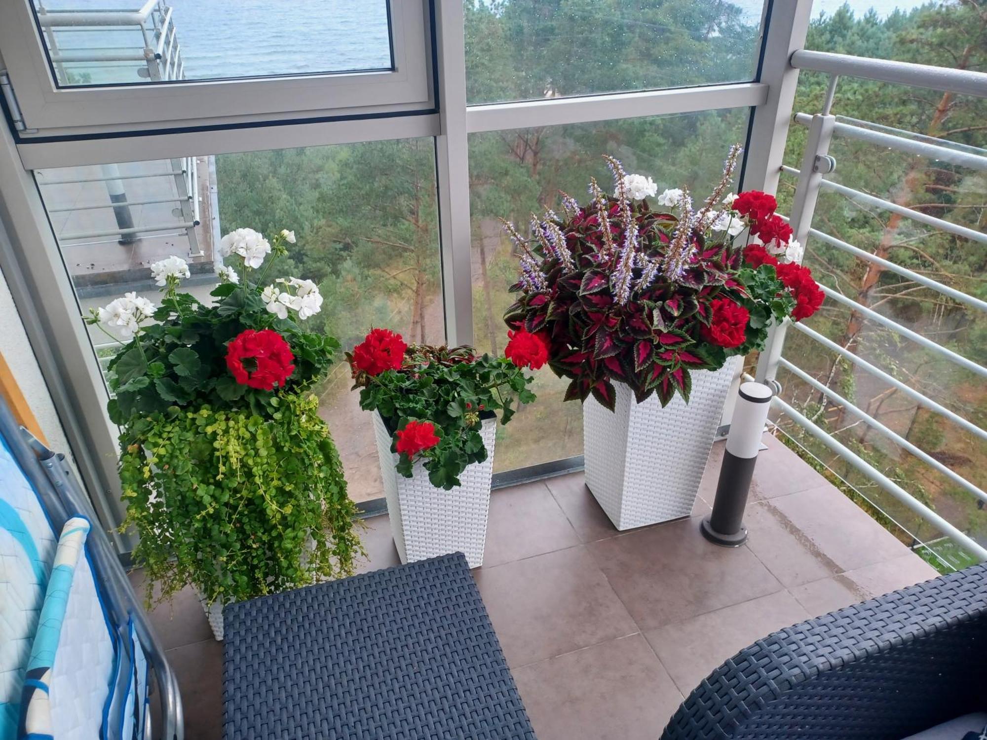 Apartament Z Widokiem Na Morze Dziwnówek Oda fotoğraf